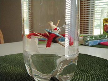 Here is a plankton with neutral buoyancy. (Image credit: Carol Smith)