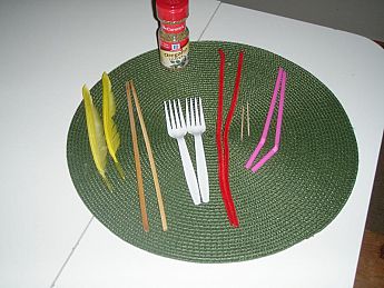 Some materials we used. (Image credit: Carol Smith)