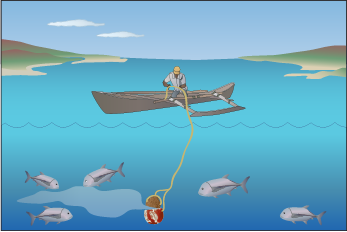 conceptual diagram of acho lure use