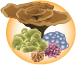 coral types