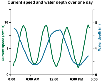 Water speed changes along with the tides each day. At high and low tides, speeds are slower. However, when the tide is rising or falling, speeds are faster. Current spead graph