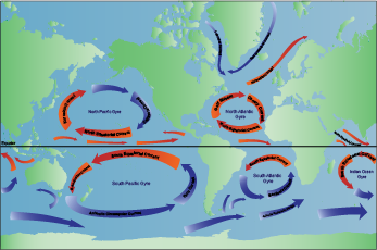 Currents flow through all the world's oceans and form large gyres, which are composed of several currents that form a ring. Many of these currents move very slowly, so slowly that it might take months or even years for water to travel through the entire ring. World current map