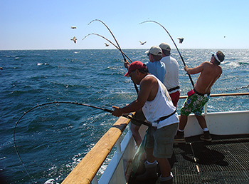 Estuaries are important because they provide people with many valuable resources, including opportunities for recreational fishing. Image courtesy of NOAA. fishing party