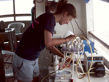 To sample aquatic bacteria, we filter large amounts of seawater using a pump to collect bacteria onto filter paper. Then we bring the samples back to the lab for further analysis. (Image credit: Caroline Fortunato) filtering water for bacteria
