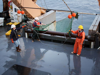 Trawls, which are nets towed behind a boat to collect organisms, can be divided into three categories based on where they sample the water column—surface, midwater and bottom. The type of trawl we use depends on the type of organisms we are collecting and/or which part of the water column we want to sample. (Image credit: NOAA) trawl