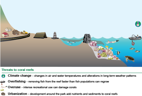 conceptual diagram of Kaloko-Honokohau National Historical Park