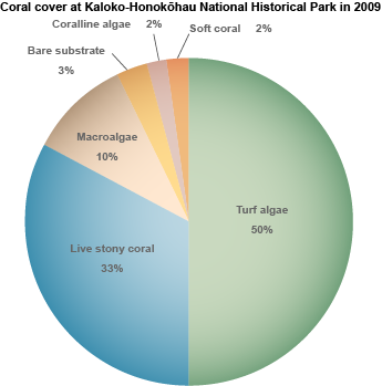 pie chart of coral cover at KAHO