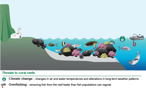 conceptual diagram of Kalaupapa National Historical Park