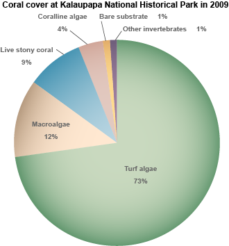 pie chart of coral cover at Kalaupapa