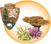 National Park Service logo