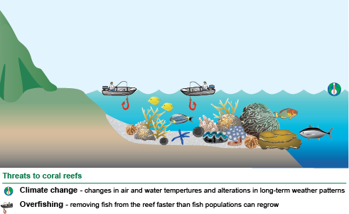 conceptual diagram of National Park of American Samoa