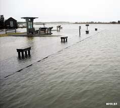 Park facilities, such as this visitor area flooded by a high storm surge, are vulnerable to sea-level rise. Vulnerability of park facilities.