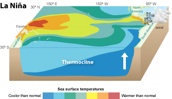 Under La Nina conditions, stronger east winds push water away from South America, causing even more upwelling of deep cold water. la nina