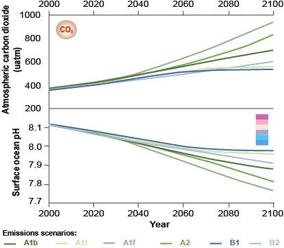 graph of predicted carbon emissions