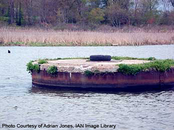 Excess nutrients from sewage outfall. Sewage Plant Outfall
