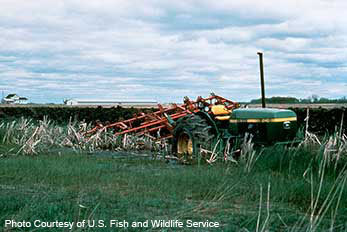 Excess nutrients from agriculture. tractor
