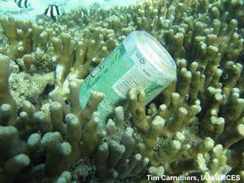 The trash we throw onto the ground can wind up on coral reefs. soda can on reef